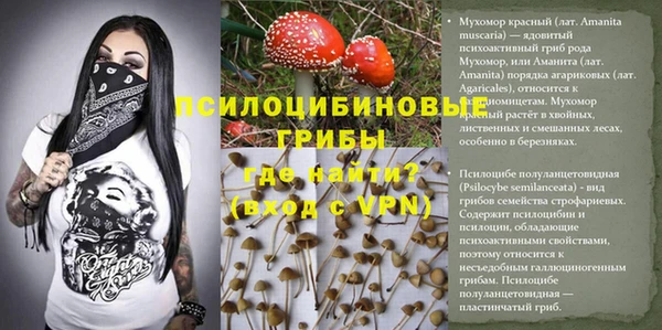 марихуана Баксан