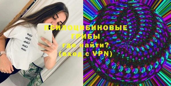 шишки Арсеньев