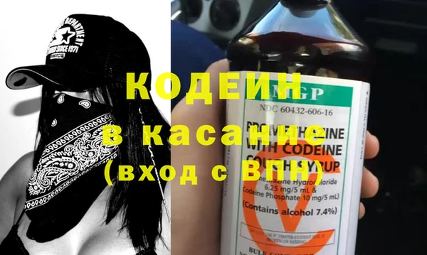 прущие грибы Апатиты
