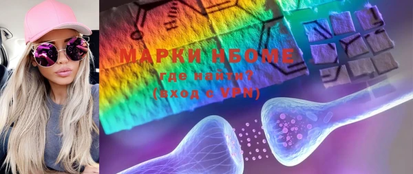 прущие грибы Апатиты
