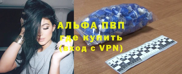 шишки Анива