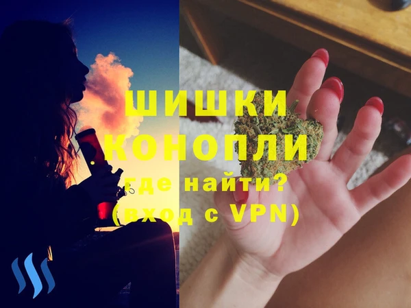 ешки Аркадак