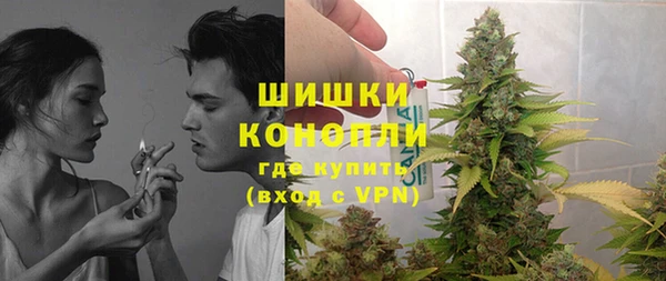 шишки Арсеньев