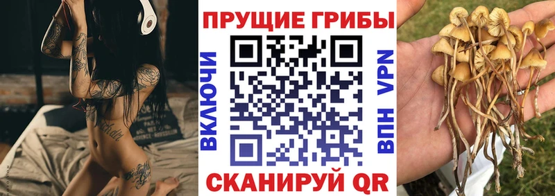 Псилоцибиновые грибы мухоморы кракен зеркало Глазов